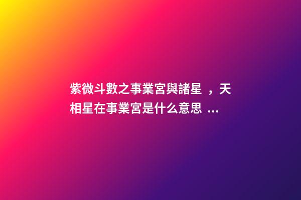 紫微斗數之事業宮與諸星，天相星在事業宮是什么意思？